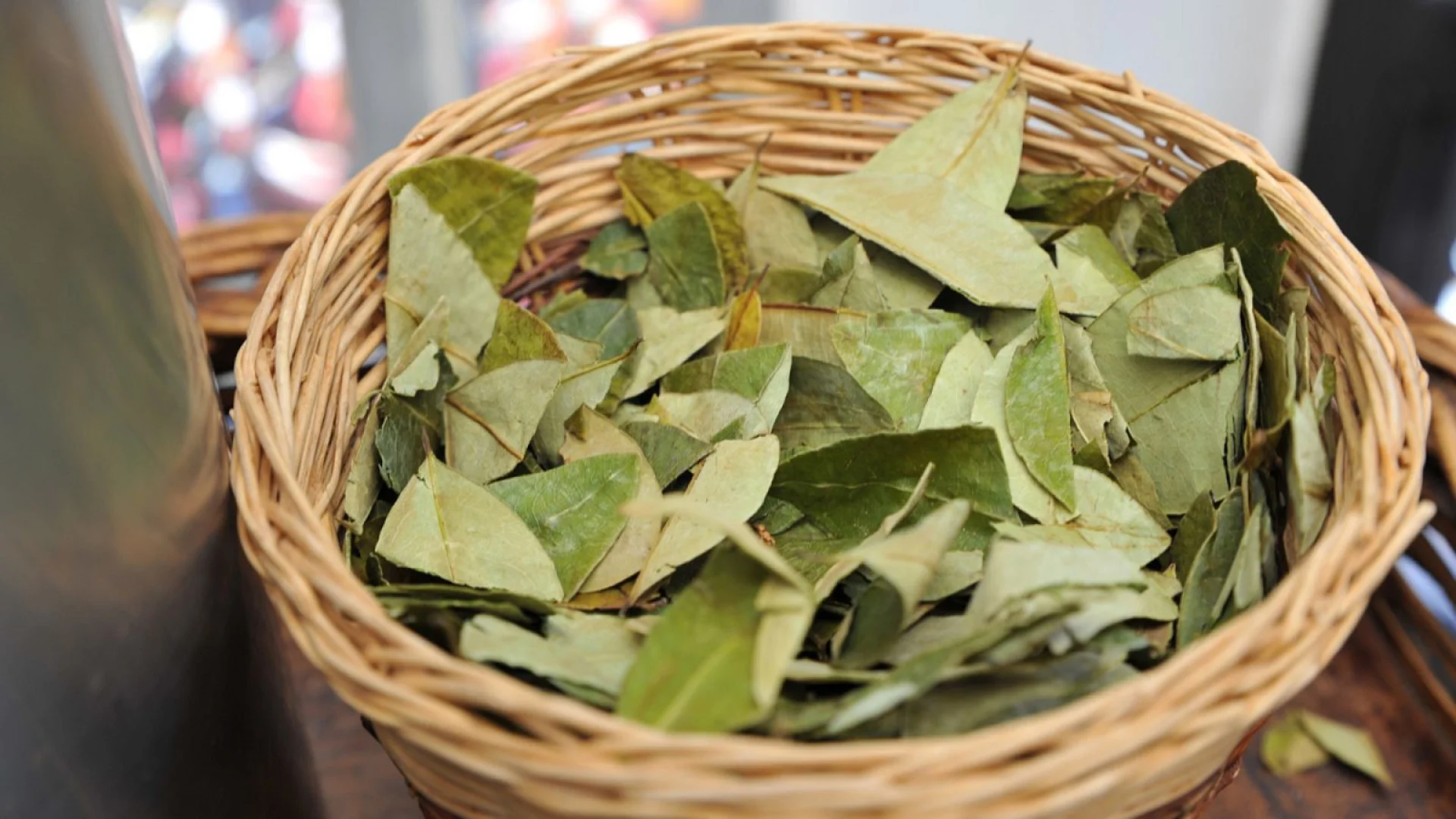 Coca Leaf