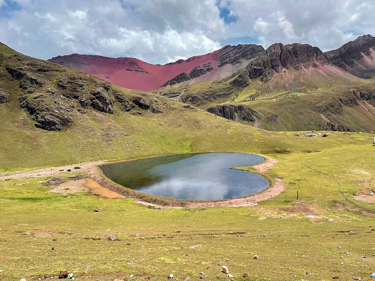 CUSIPATA