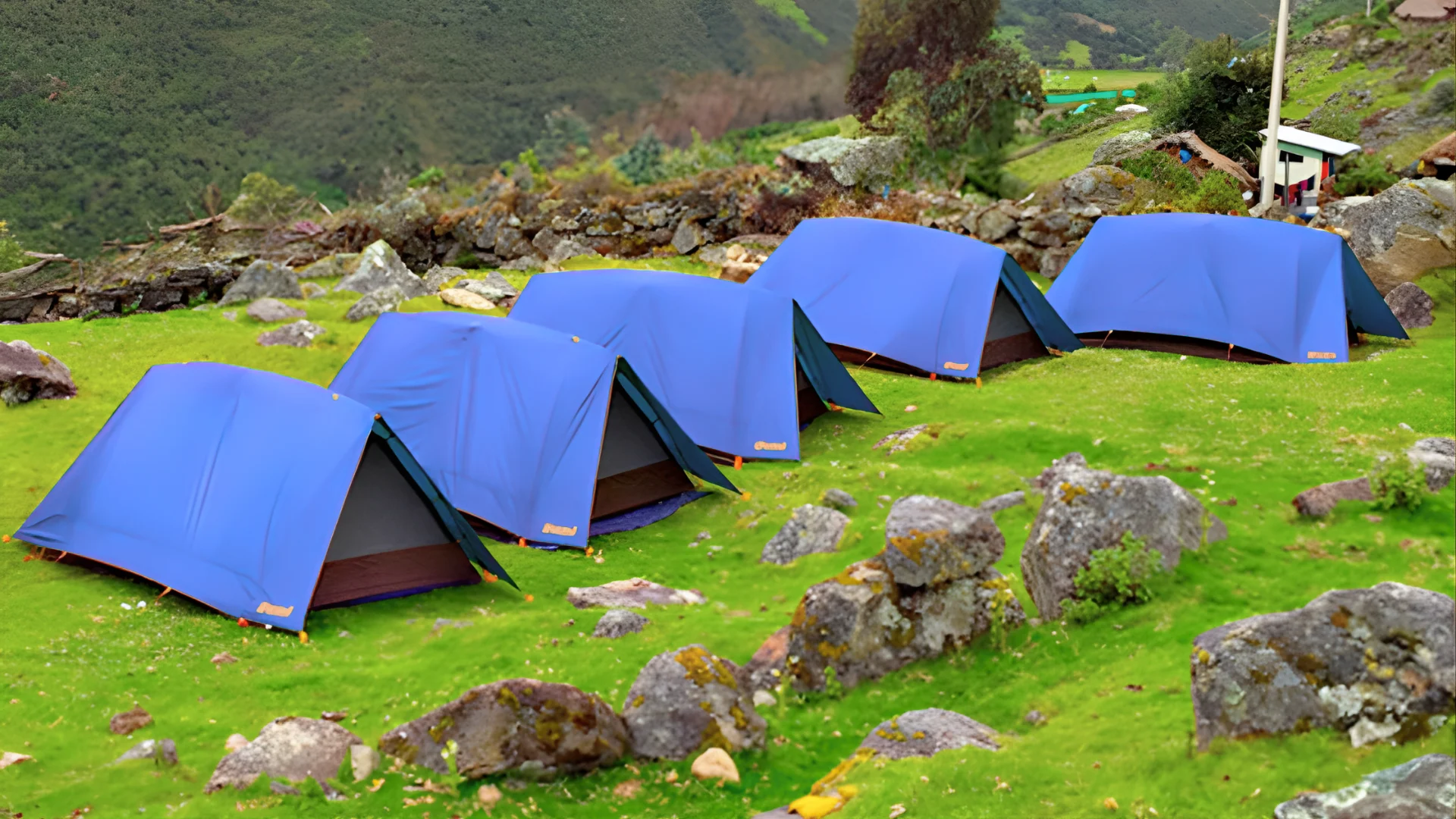 Camp