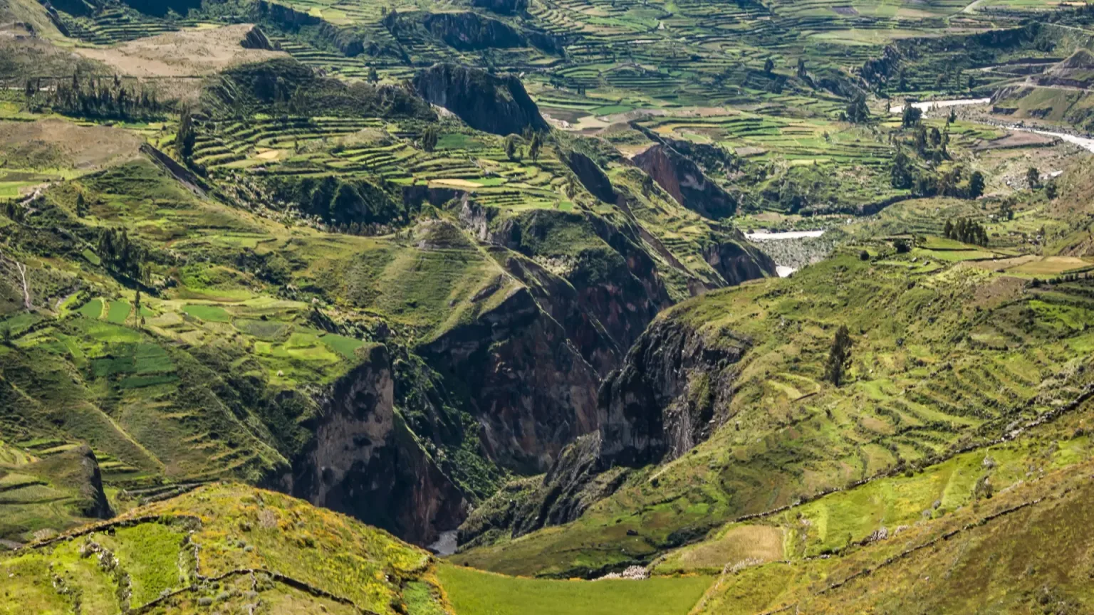 Cañón del Colca