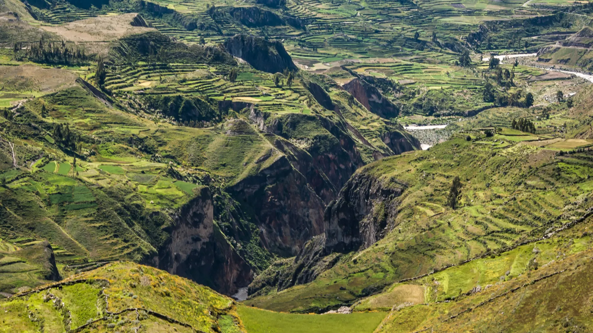 Colca Canyon