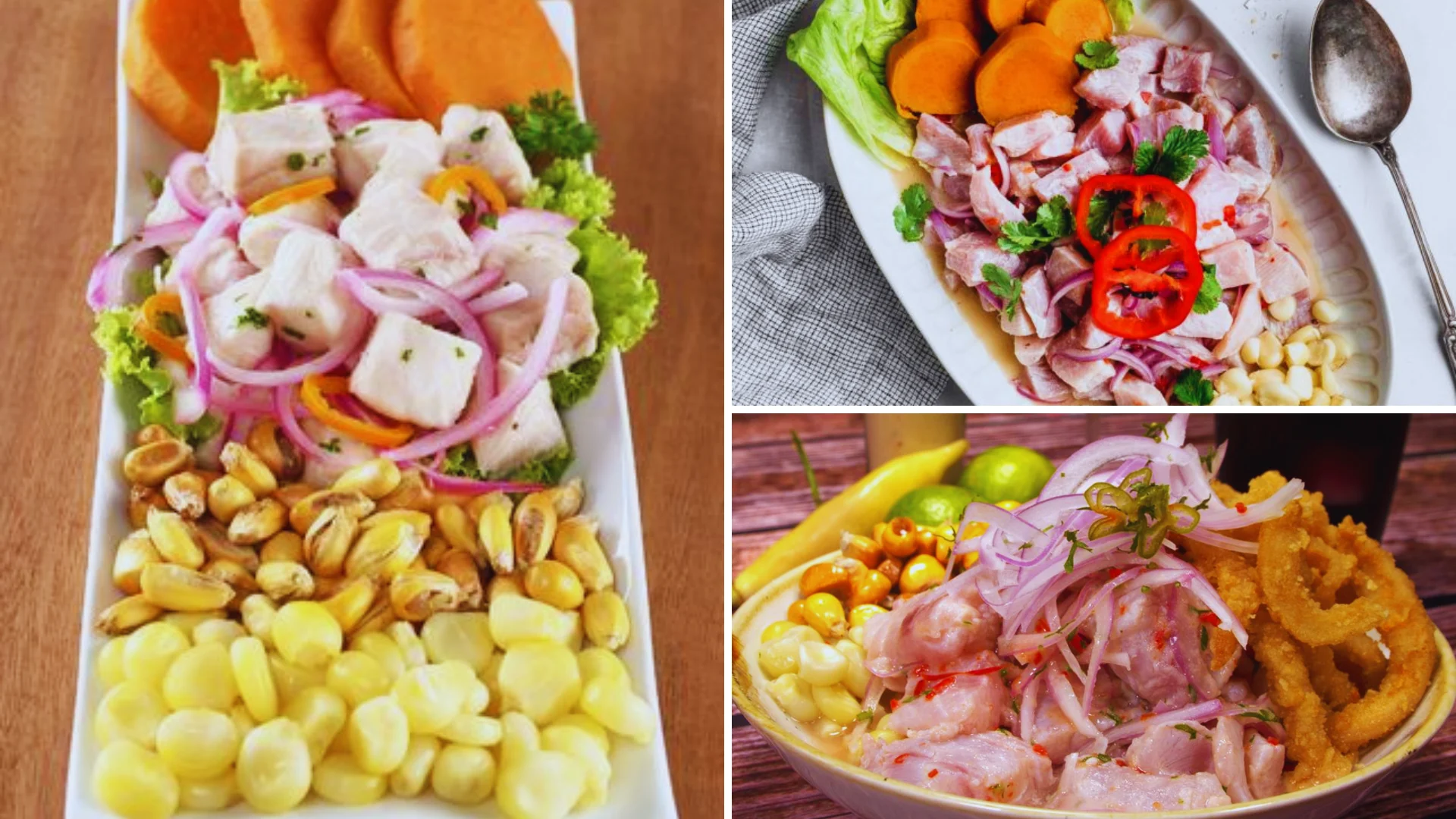 Different types of ceviche
