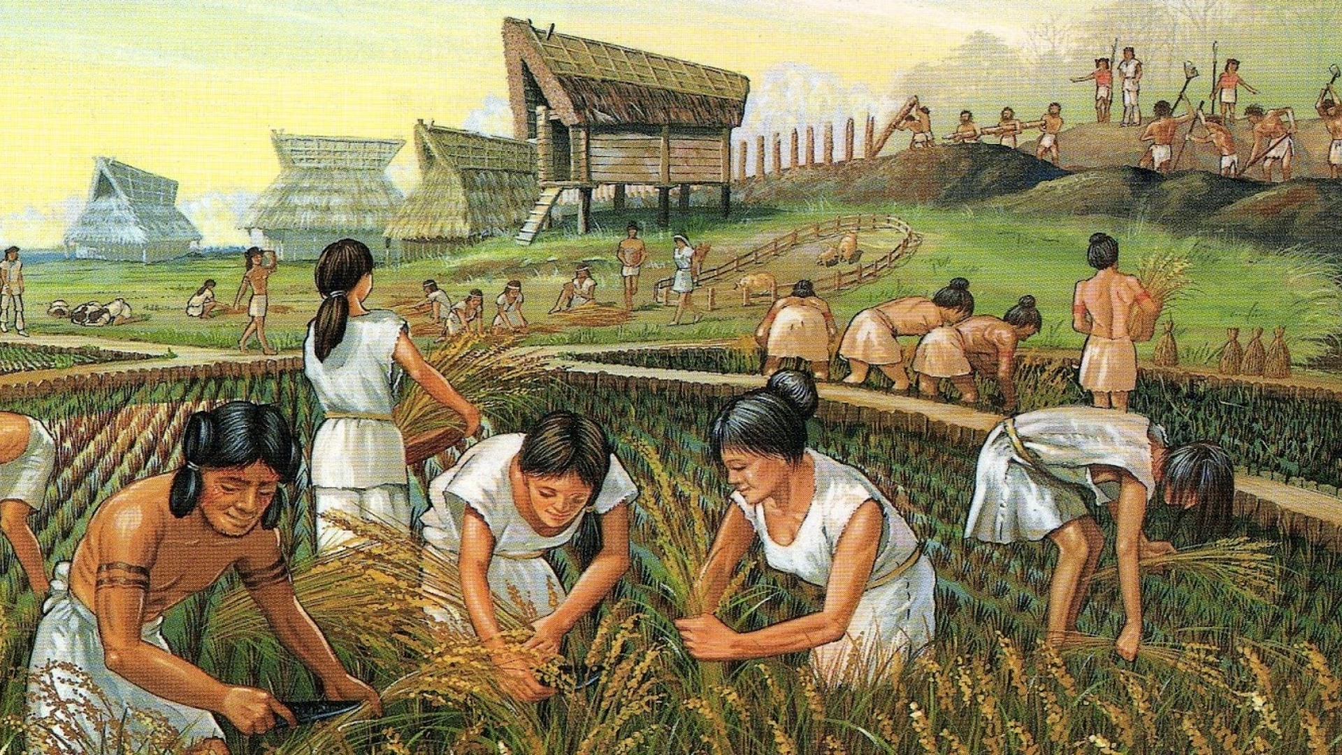 Inca agriculture