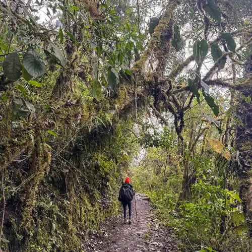 Inca trail