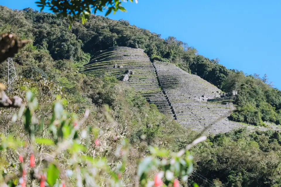 Intipata