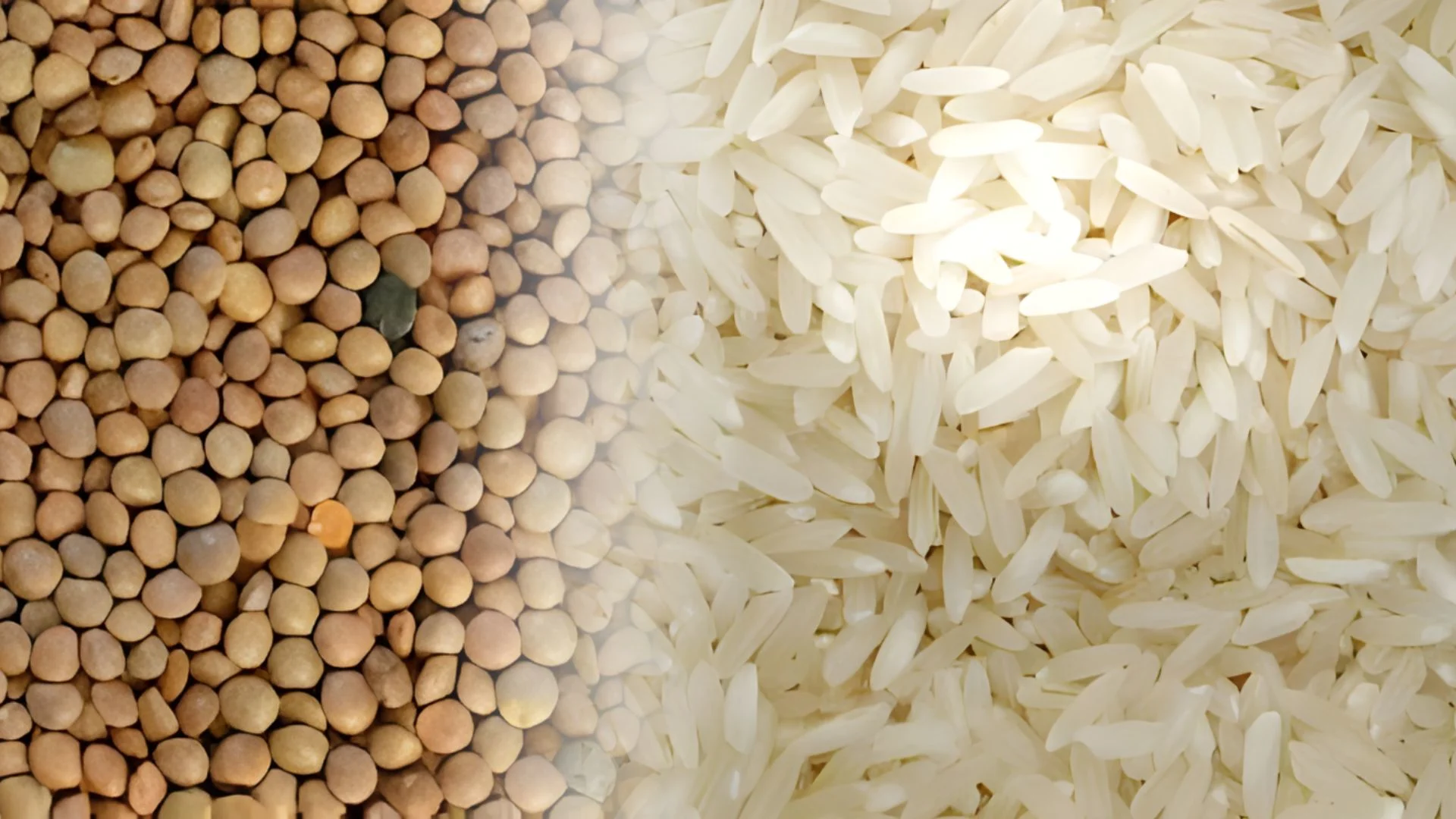 Lentejas y arroz