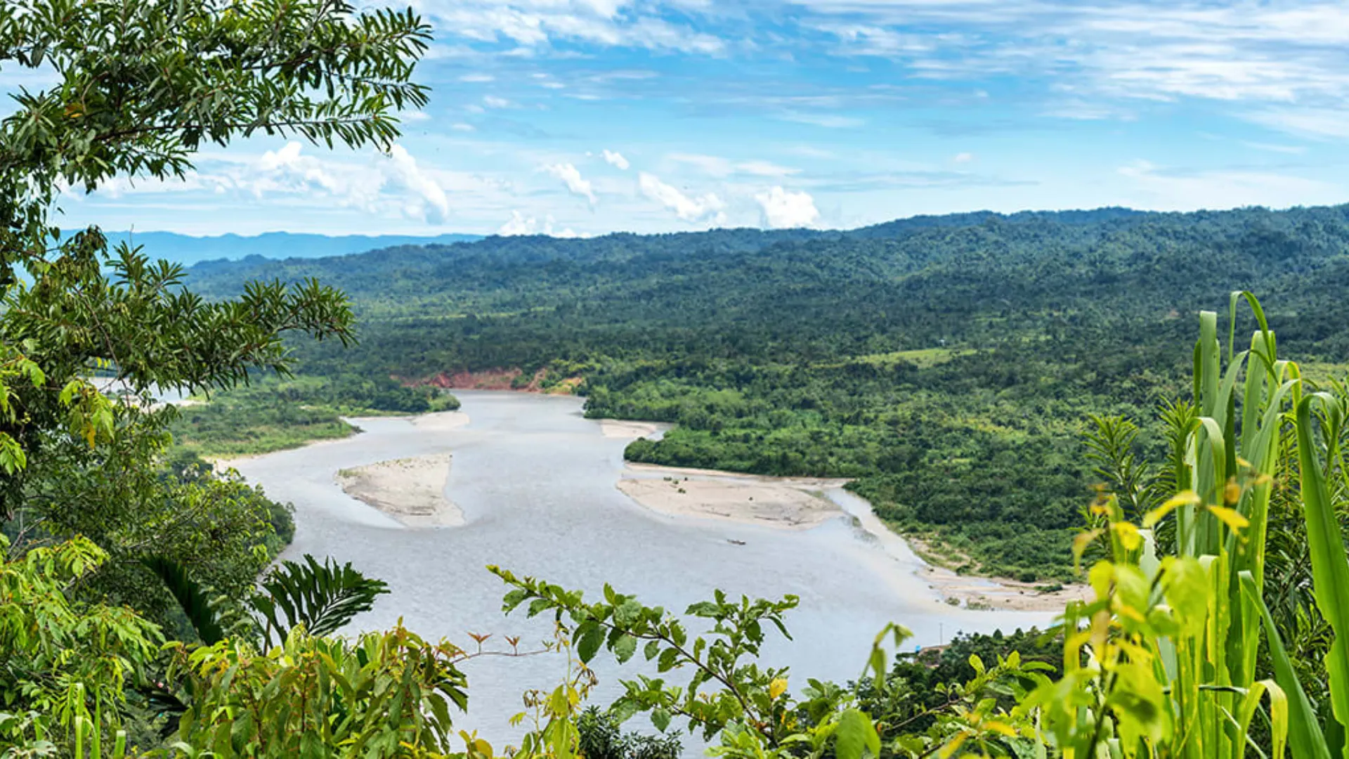 Manu National Park