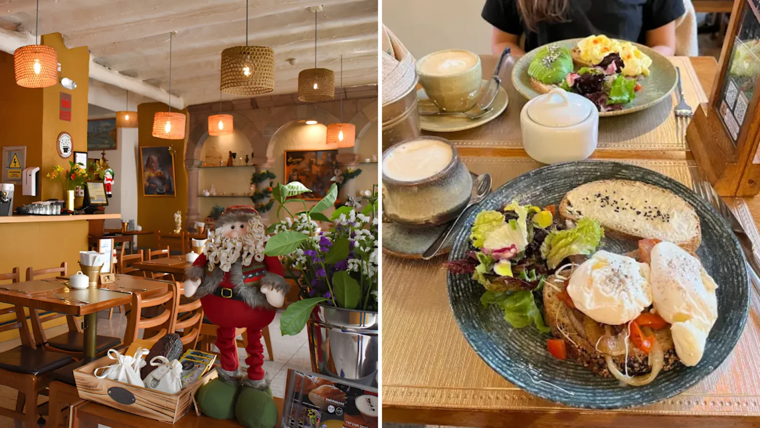 Organika Cafe