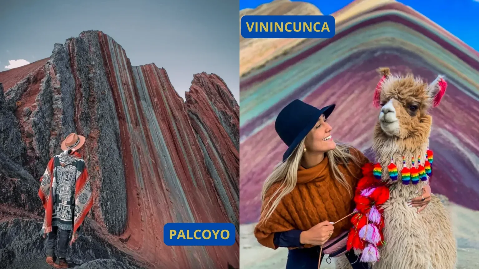 PALCOYO VS VININCUNCA