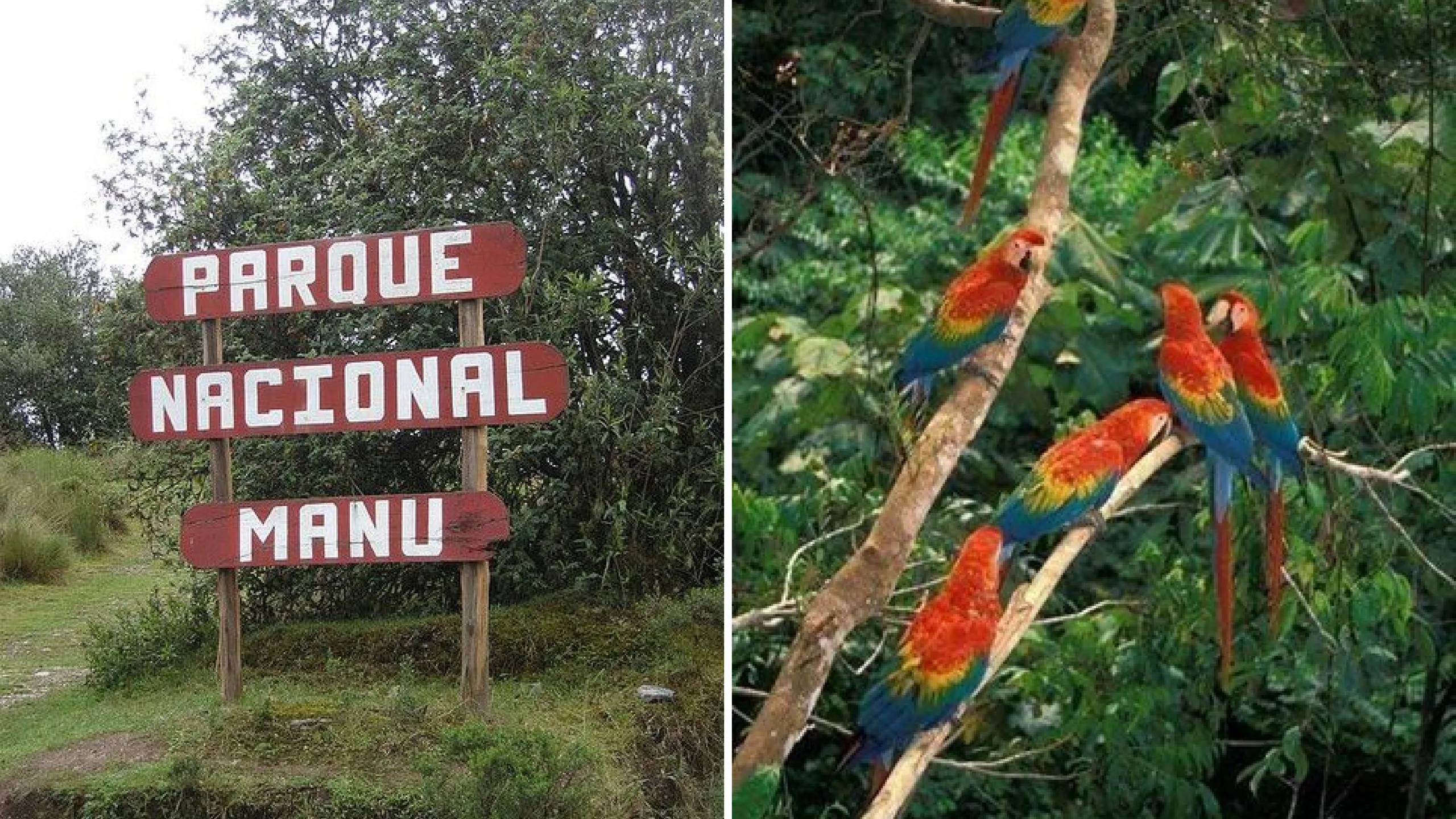 PARQUE DE MANU
