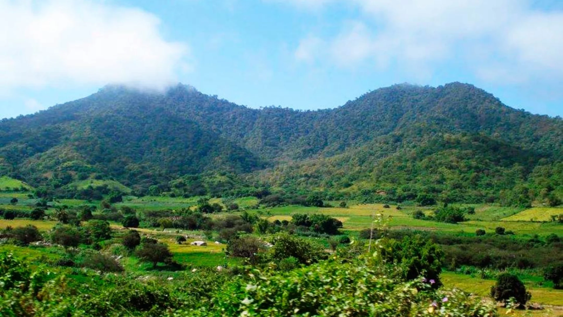 Parque Nacional Cerros de Amotape
