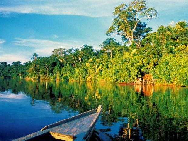 Parques nacionales_ El Manu