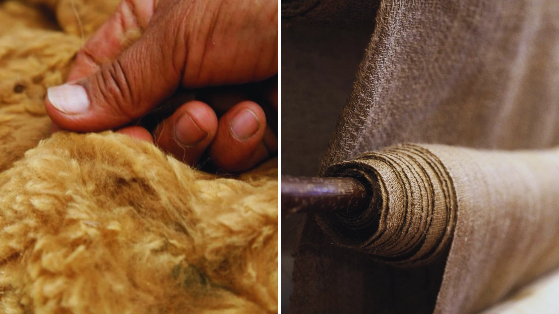 Vicuña Fiber