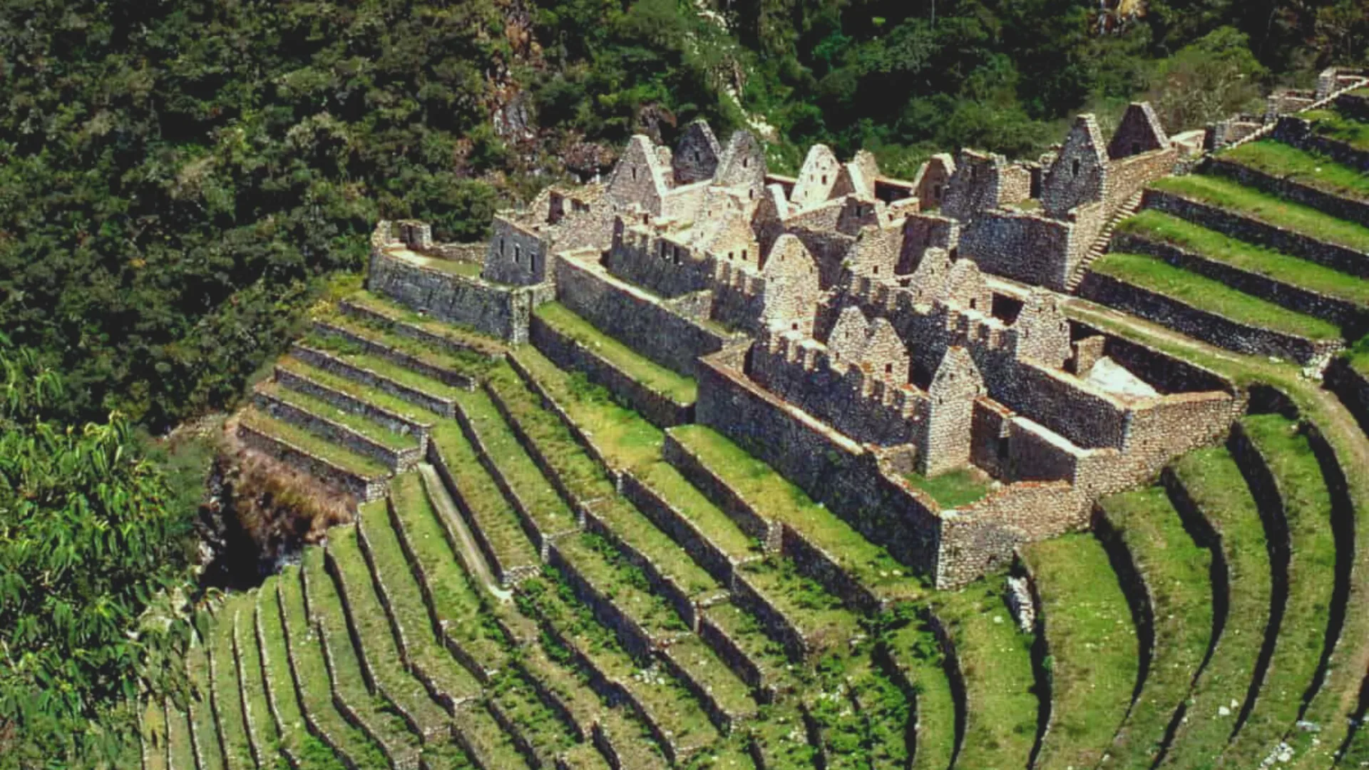 Wiñaywayna