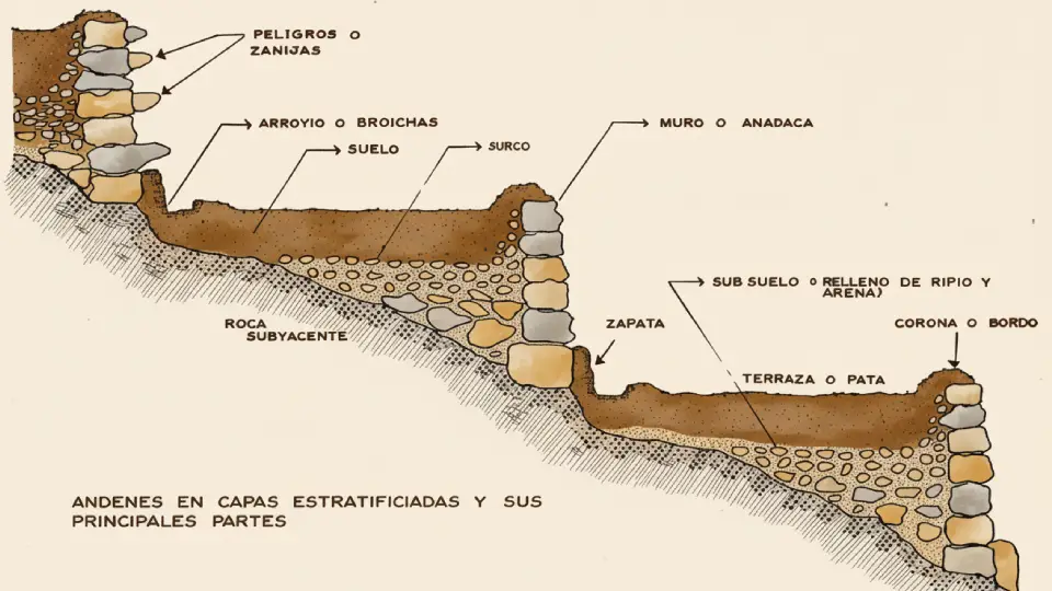 Structure and composition of Inca agricultural terraces