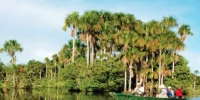 bosque nublado manu