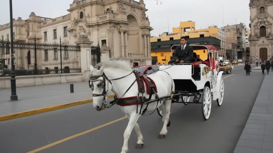 Carriage tours in Lima