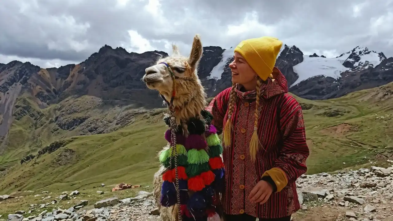 llama andes peruanos sudamerica