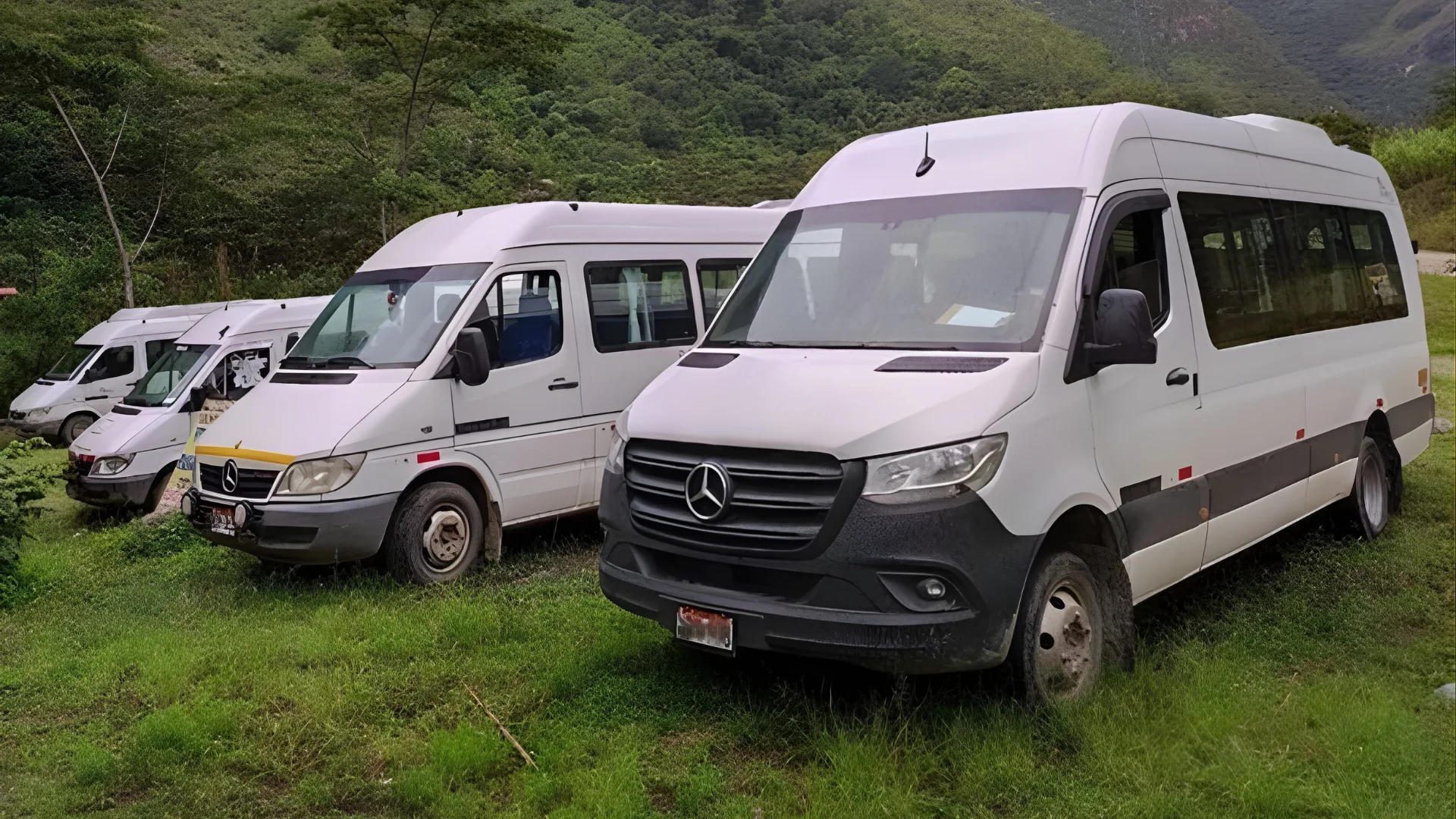 logistic