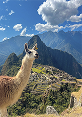 Vistas Únicas de Machu Picchu**