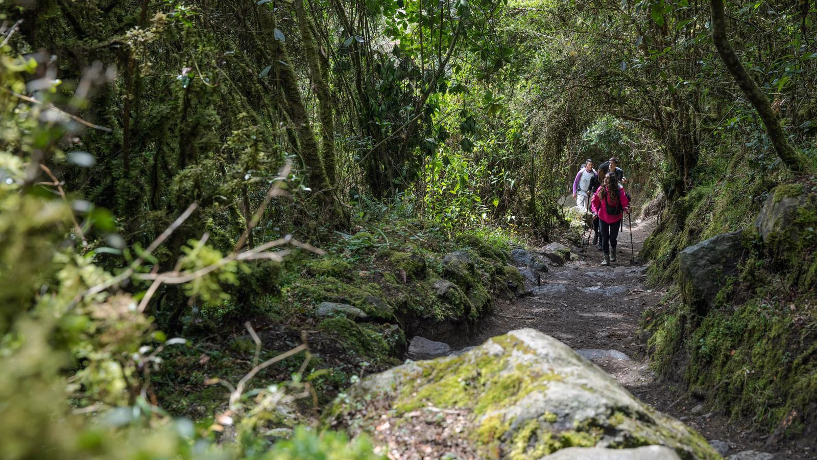 Inca Trail Trek
