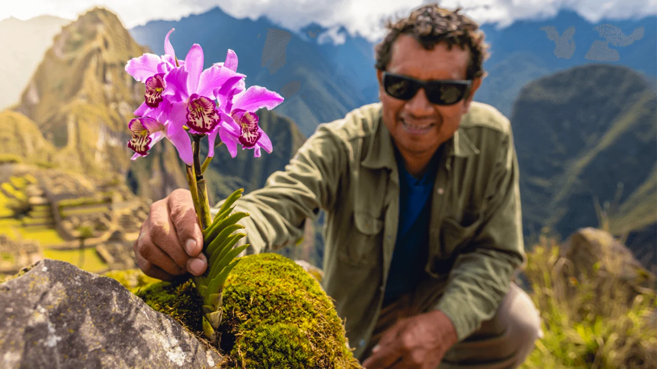 New orchid species discovered in Machu Picchu and the Andes Mountains