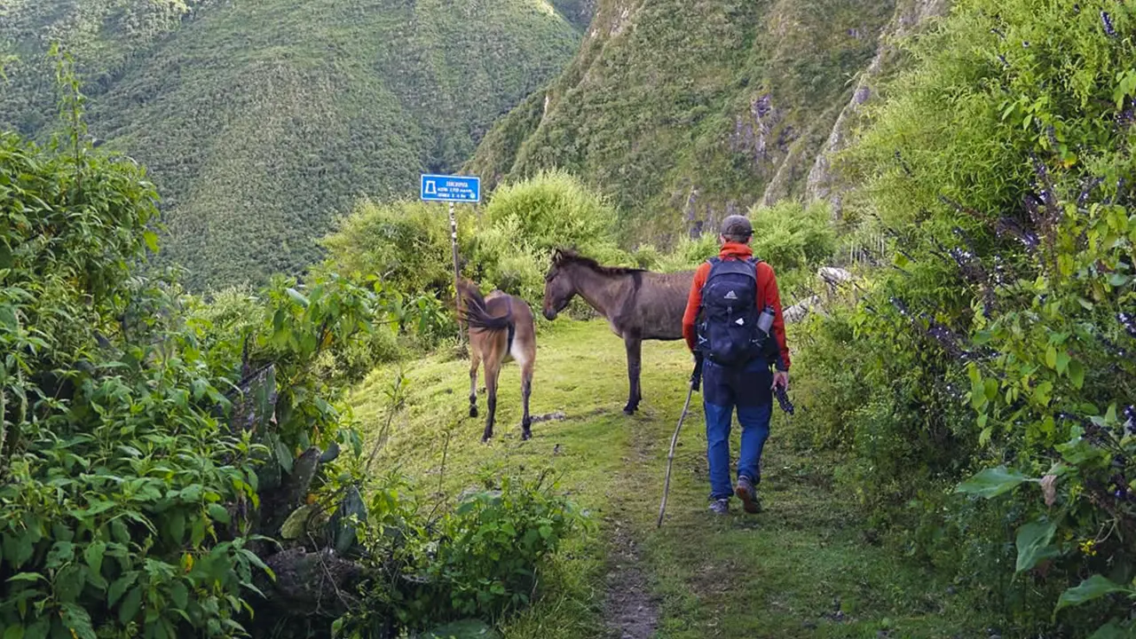Turistas recorren la nueva ruta que conecta Machu Picchu con Choquequirao