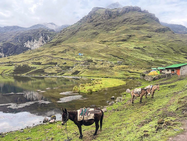 Lares Trek a Machu Picchu 4 días y 3 noches con Uros Expeditions, experiencia cultural y paisajes andinos únicos