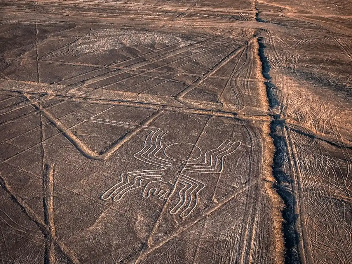 vista desde arriba de las Lineas de Nazca 